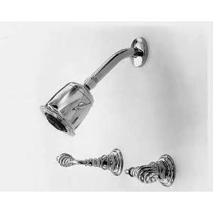   Brass Bidet Faucet   Vertical 2000 Series 2109/03W: Home Improvement
