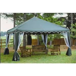  10 x 10 King Canopy Green Garden Party Canopy: Patio 