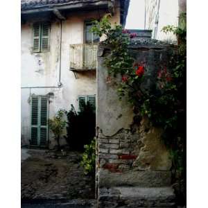  Crumbling Wall, Climbing Roses   Umbria: Kitchen & Dining