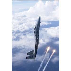  F 15D Eagle from 325th Fighter Wing   24x36 Poster 