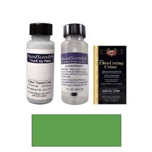   Green Paint Bottle Kit for 1974 Volkswagen Dasher (L61A): Automotive