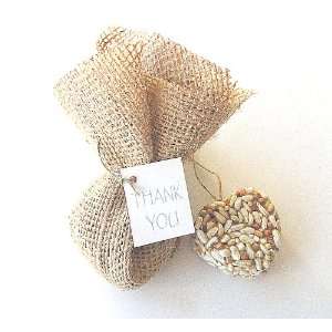  100 2 Bird Seed Hearts in Burlap Favor Bags Everything 