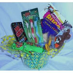  Snake In the Grass Gift Basket: Toys & Games
