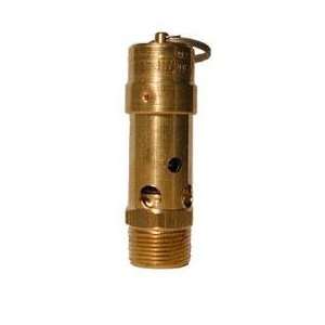  relief Valve 100 PSI American made FREE SHIPPING: Home Improvement