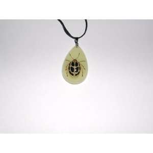  Glow in the dark Real Insect Necklace (YD0726): Everything 