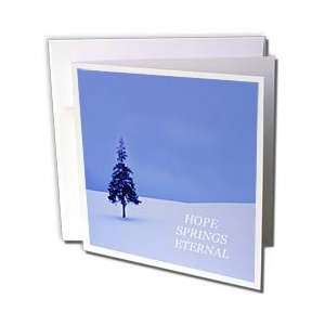  Florene landscape   Evergreen Tree In Snow With 