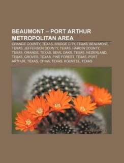 Beaumont   Port Arthur metropolitan area Orange County, Texas, Bridge 