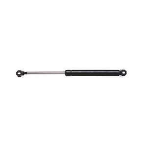  Strong Arm 4616 Trunk Lid Lift Support: Automotive