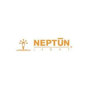 NEPTUN NP62120ADIM (61920 ADIM) 20W E26,E27 / MEDIUM SCREW A21 Compact 
