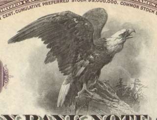 American Bank Note Company  specimen stock certificate  