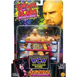   Smash N Slam Wrestling Figure NWO WWE WWF WCW: Explore similar items