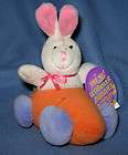 Wobbler Buddies Bunny Carrot Car Pull Plush Toy Easter Basket Stuffer 