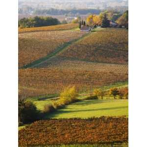 com View Over the Vineyards in Bergerac, Chateau Belingard, Bergerac 