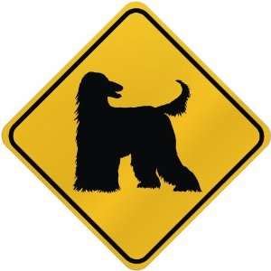  ONLY  AFGHAN HOUND  CROSSING SIGN DOG