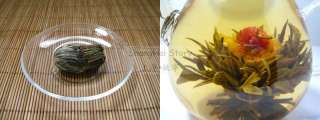 48 Organic Artisan Blooming Flower Green Tea Variety  