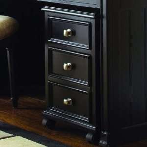  File/Drawer Cabinet: Furniture & Decor
