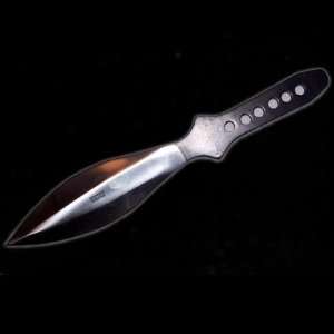   Design 10 Inch Throwing Knife with Stainless Blade: Everything Else