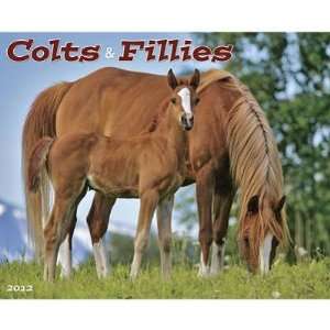  Colts & Fillies 2012 Wall Calendar: Office Products