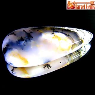 19.03 Ct Dazzling Rare Collection Good Flashing Natural Dandrite Opal 