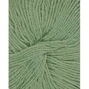  Bouton dOr Baby Superwash Yarn 642 Menthol Arts, Crafts 