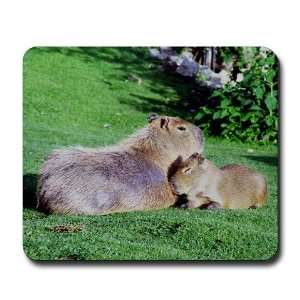  Capybara Snooze Art Mousepad by CafePress: Office Products