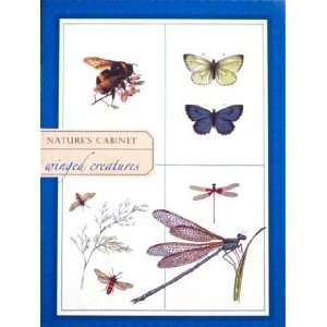  Natures Cabinet Winged Creatures Boxed Notecards by 