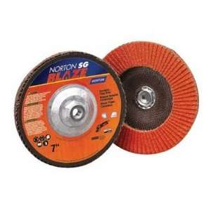 Blaze& Type 29 Flap Discs, Norton 66261183491, Box Of 10  