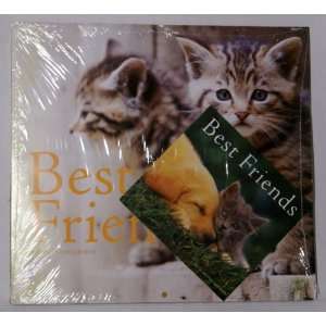  Kittens 2012 16 Month Calendar +Bonus: Office Products