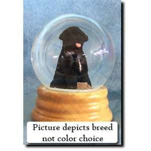  Portuguese Water Dog (Liver) Musical Snow Globe: Home 