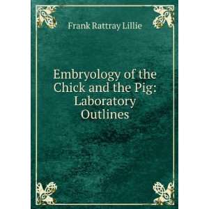   Chick and the Pig Laboratory Outlines Frank Rattray Lillie Books