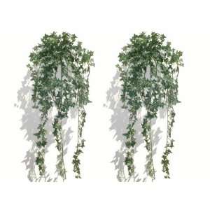  2 x 35 English Ivies, Artificial Plants: Home & Kitchen
