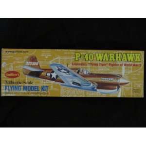  P 40 Warhawk Flying Model Kit 