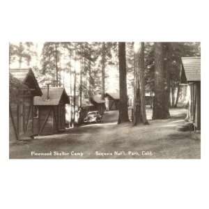  Pinewood Shelter Camp, Sequoia National Park Giclee Poster 