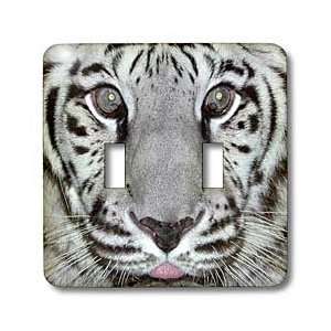 Beverly Turner Photography   White Tiger with Tongue   Light Switch 