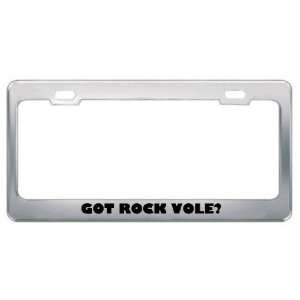 Got Rock Vole? Animals Pets Metal License Plate Frame Holder Border 