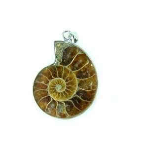  PE0138 Madagascar Ammonite Fossil Crystal Pendant Jewelry