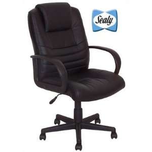   Posturepedic E Pilson Mid Back Leather/Pvc Chair: Office Products
