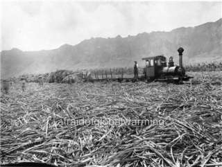 Photo 1900 Waimanalo Sugar Company Locomotive   Hawaii  