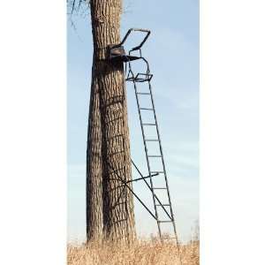   Deluxe Ladder Stand from Big Game Treestands: Sports & Outdoors
