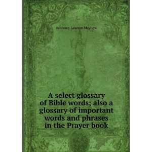 select glossary of Bible words; also a glossary of important words 