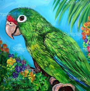 PUERTO RICO  GICLEE Bird Painting Green PARROT Kristine Kasheta 