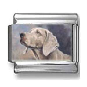  Weimaraner Dog Photo Italian Charm: Jewelry