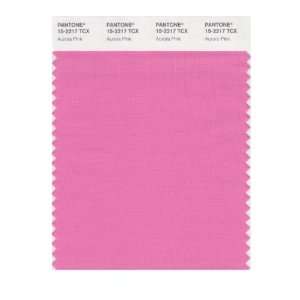   SMART 15 2217X Color Swatch Card, Aurora Pink