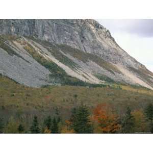 Mountain and Trees in Autumn (Fall), White Mountain National Forest 