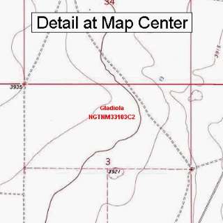  USGS Topographic Quadrangle Map   Gladiola, New Mexico 