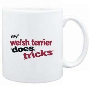   : Mug White  MY Welsh Terrier DOES TRICKS  Dogs: Sports & Outdoors