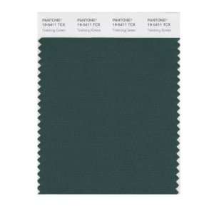   SMART 19 5411X Color Swatch Card, Trekking Green: Home Improvement