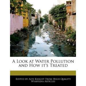  A Look at Water Pollution and How its Treated 