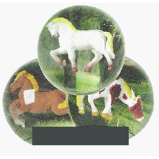  Horse/Pasture Ball Toys & Games