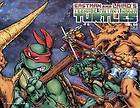 Teenage Mutant Ninja Turtles 1 of 1 Original Cover Sketch by Matt Slay 